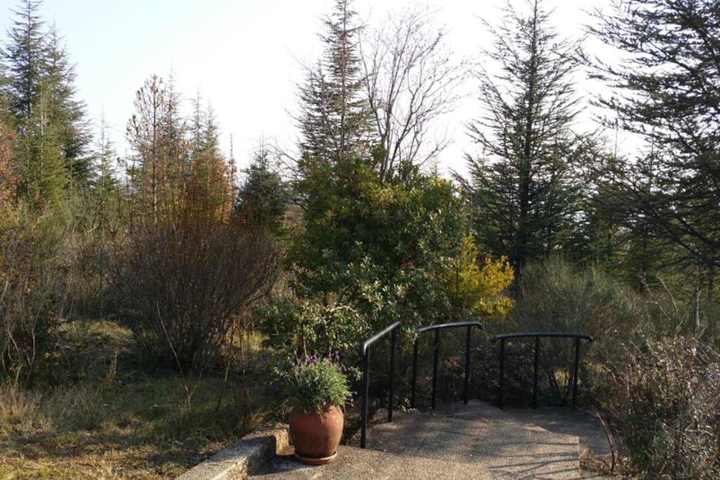 Villa La Lurette, Appartement Et Studio Saint-Étienne-les-Orgues エクステリア 写真