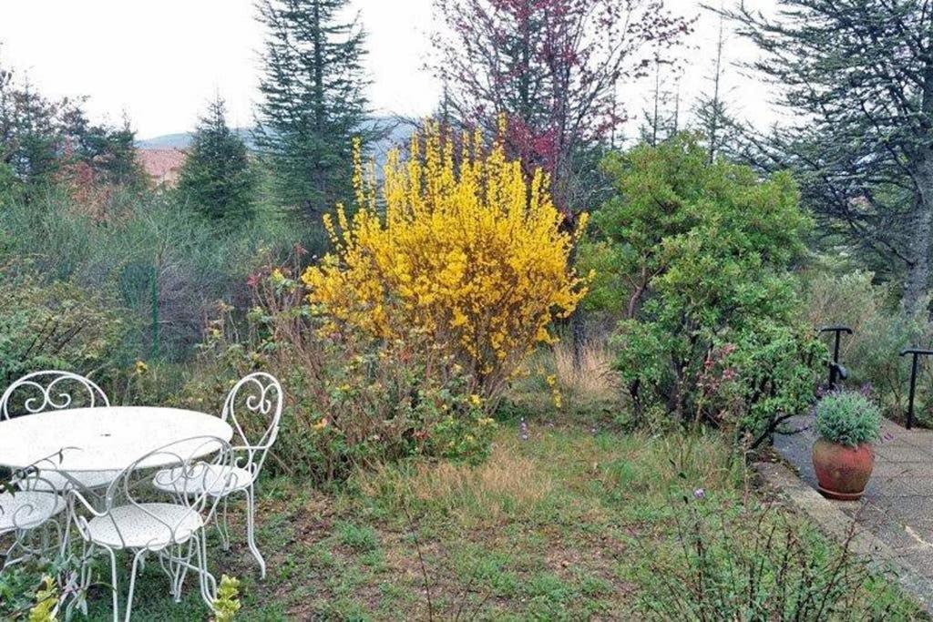 Villa La Lurette, Appartement Et Studio Saint-Étienne-les-Orgues エクステリア 写真